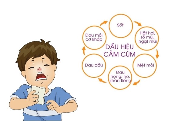 Triệu chứng bệnh cảm cúm