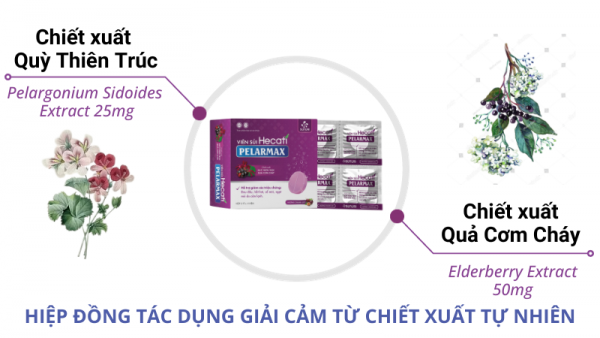 VIÊN SỦI HECATI PELARMAX – HIỆP ĐỒNG TÁC DỤNG GIẢI CẢM TỪ CHIẾT XUẤT TỰ NHIÊN
