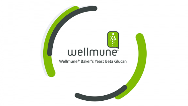 WELLMUNE® TĂNG CƯỜNG MIỄN DỊCH TỪ THIÊN NHIÊN